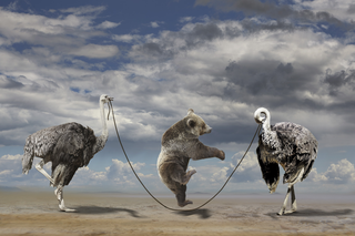 Surrealismo, A bear jumpig on the rope