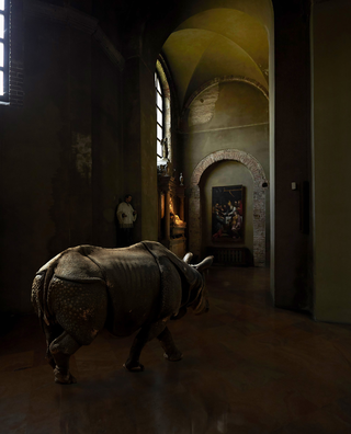 Surrealismo, Aseatic rhinoceros in San Lorenzo