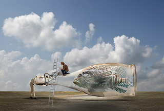Surrealismo, Bottled fish