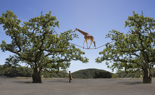 Surrealismo, Exercise on the rope