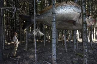 Surrealismo, Flying fish in the woods