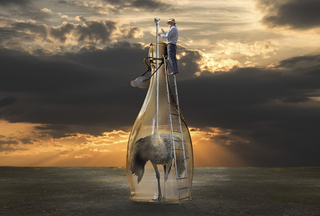 Surrealismo, Message in the bottle