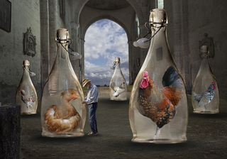 Surrealismo, Chicken farmer