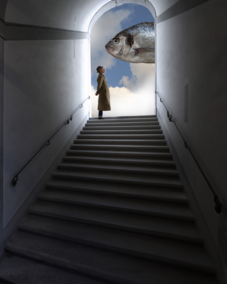 Surrealismo, Fish eye