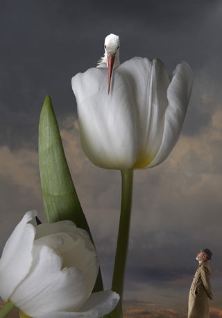 Surrealismo, The flower nest