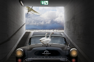 Surrealismo, White birds