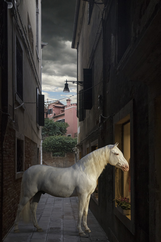 Surrealismo, White horse in Venice