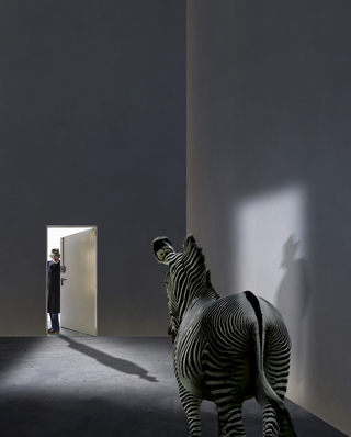 Surrealismo, Zebra in the dark room