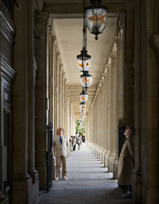 Surrealismo, Gold fish in Paris