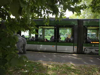 Surrealismo, Tram line 15