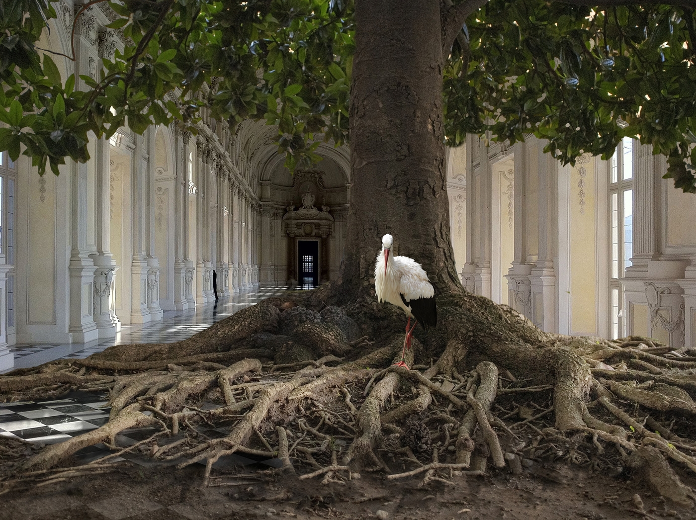 Surrealismo, Roots in Venaria