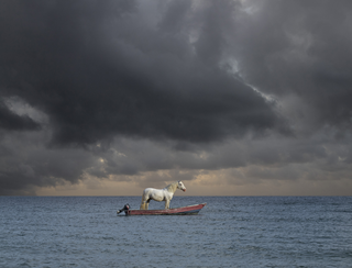 Surrealismo, Sailing to Venice