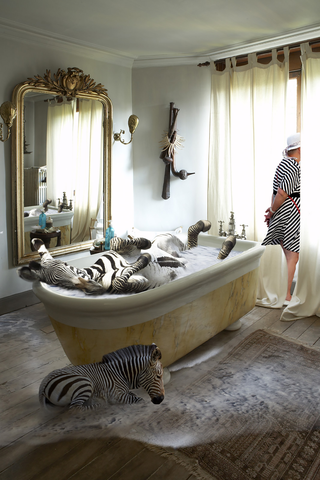 Surrealismo, The zebra family