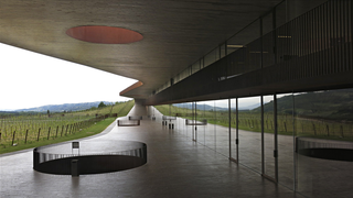 Cantina Antinori